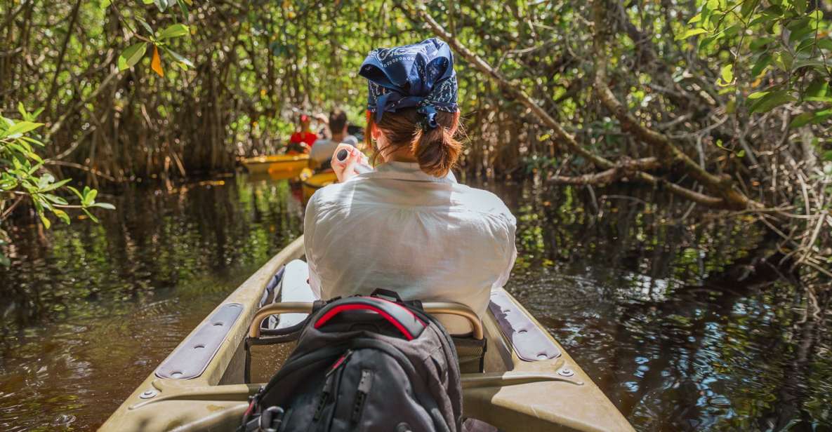 Everglades National Park: Mangrove Tunnel Kayak Eco-Tour - Paddling Through Mangrove Tunnels