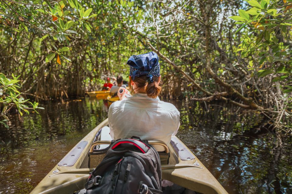 Everglades National Park: Mangrove Tunnel Kayak Eco-Tour - Diverse Flora and Fauna