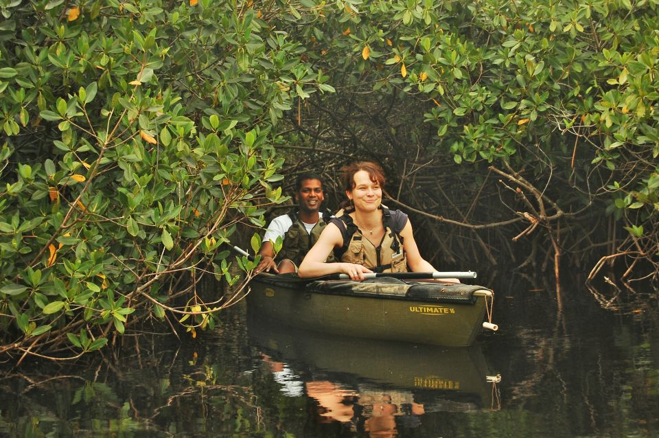 Everglades National Park: Mangrove Tunnel Kayak Eco-Tour - Experienced Naturalist Guide