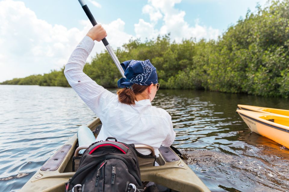 Everglades National Park: Mangrove Tunnel Kayak Eco-Tour - Highlights of the Experience