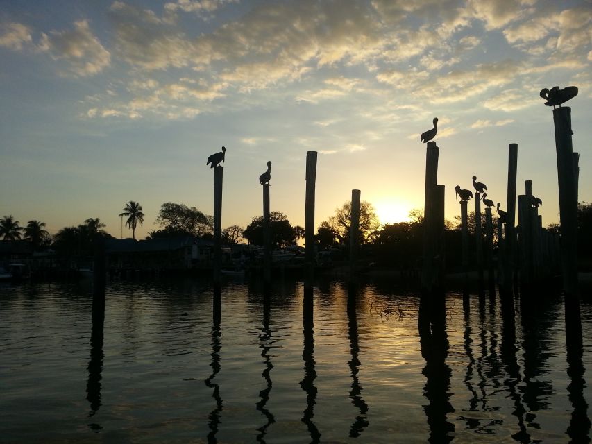 Everglades National Park: Motorboat Eco Tour - Key Points