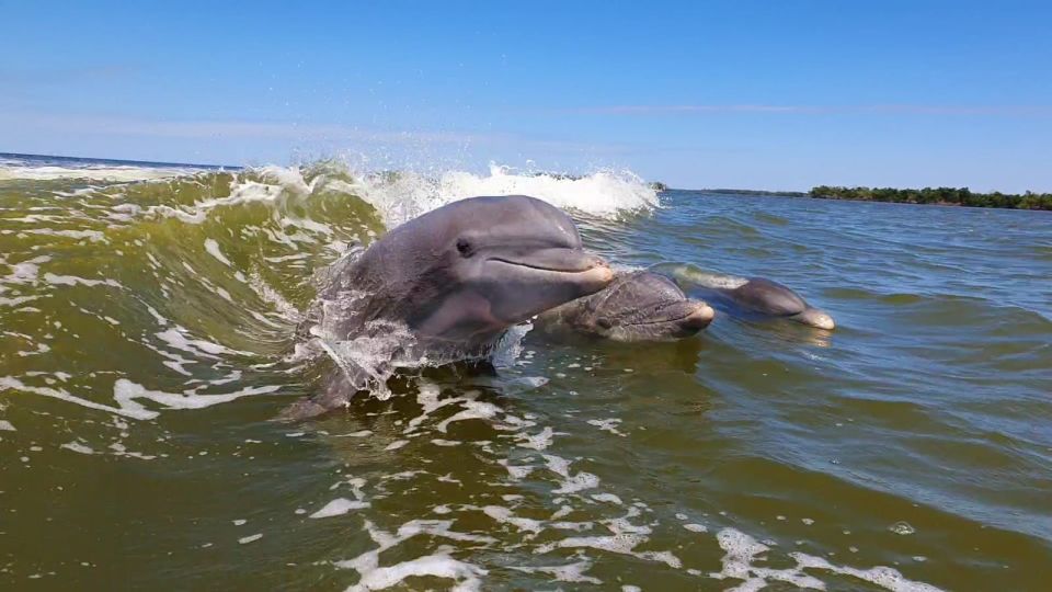 Everglades National Park: Motorboat Eco Tour - Cancellation Policy