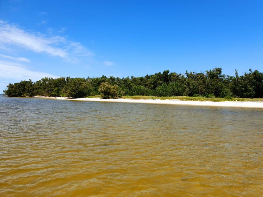 Everglades National Park: Motorboat Eco Tour - Payment Options