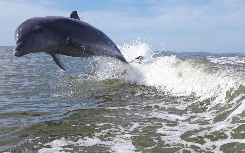 Everglades National Park: Motorboat Eco Tour - What to Expect
