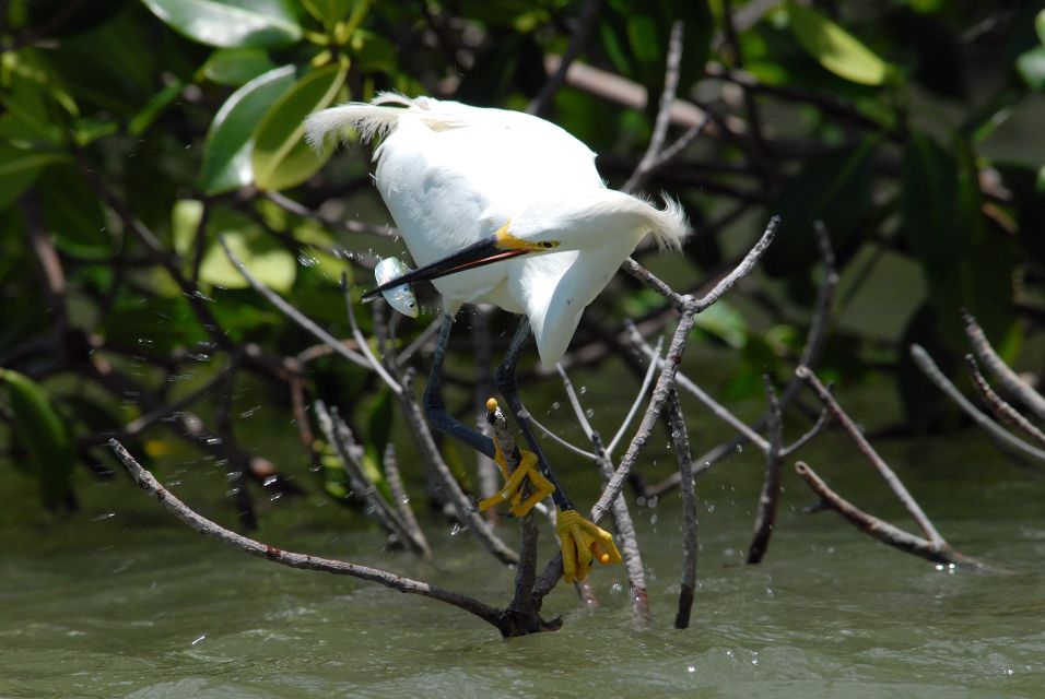 Everglades National Park: Private 2.5-Hour Photo Safari - Frequently Asked Questions