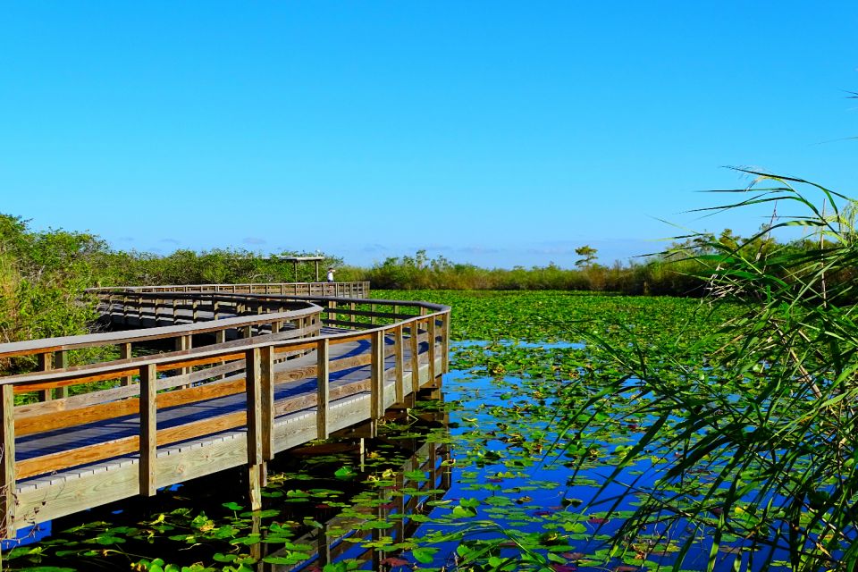 Everglades National Park: Self-Guided Driving Audio Tour - Encountering Diverse Wildlife
