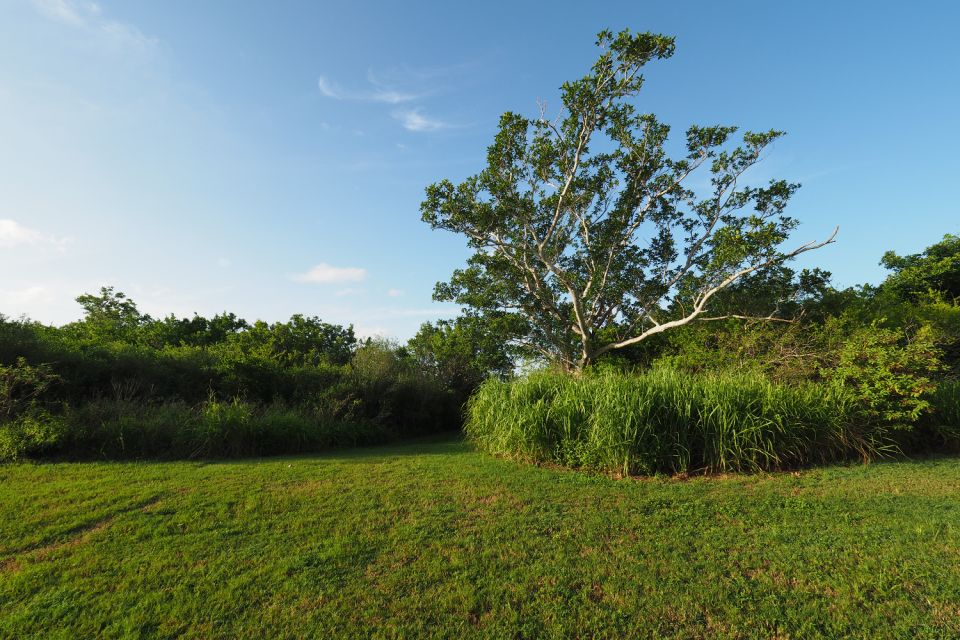 Everglades National Park: Self-Guided Driving Audio Tour - Protecting the Everglades Future