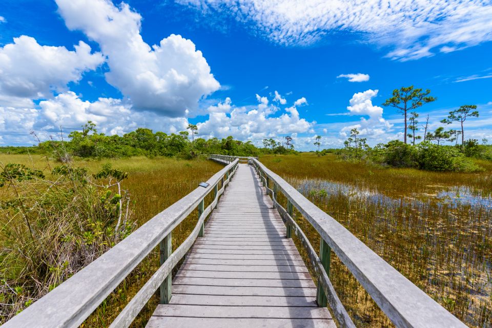 Everglades National Park: Self-Guided Driving Audio Tour - Recap