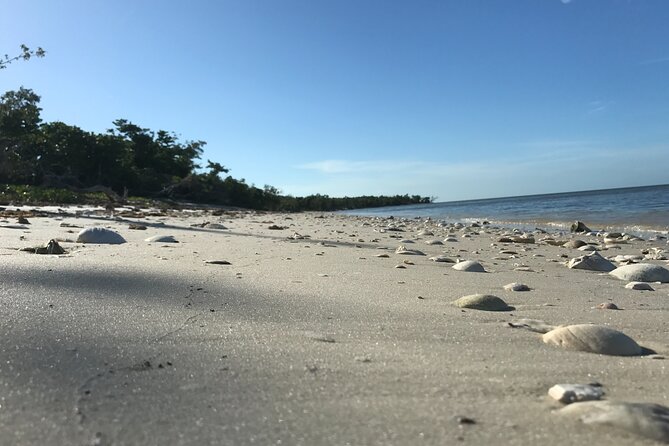 Everglades National Park Small Group Guided Boating and Walking Expedition - Traveler Reviews and Feedback