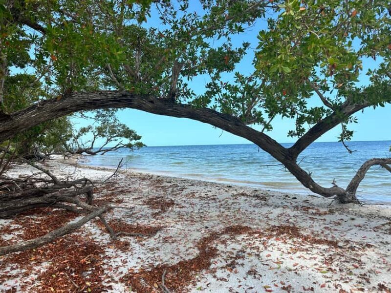 Everglades Pirate and Beach Adventure - Price and Value Analysis