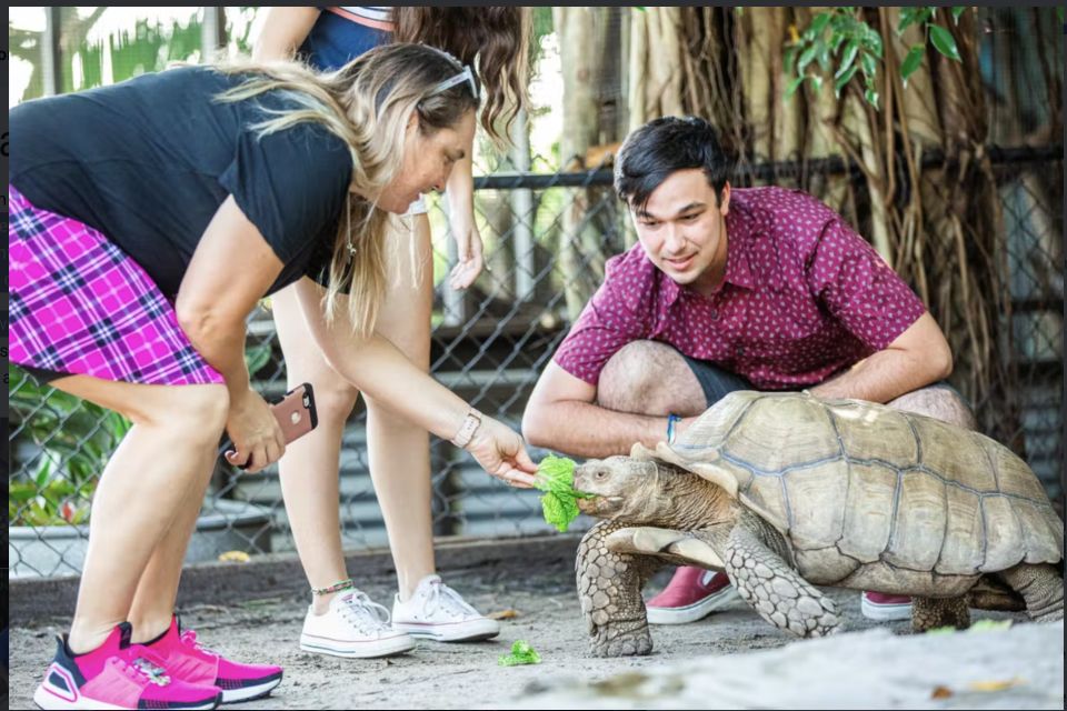 Everglades: Sawgrass Park Reptile Exhibit Private Tour - Exploring Native and Exotic Species