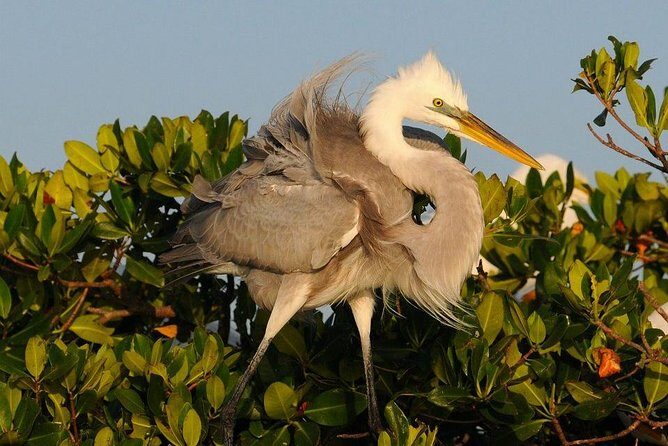 Everglades Small Group Guided Boating & Walking Tour Expedition - Key Points