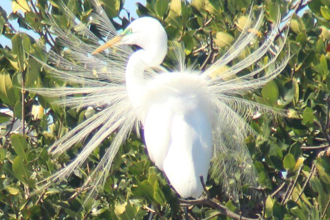 Everglades Small Group Guided Boating & Walking Tour Expedition - FAQs