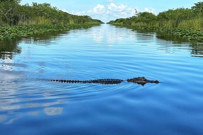 Everglades Tour from Miami with Transportation - FAQ