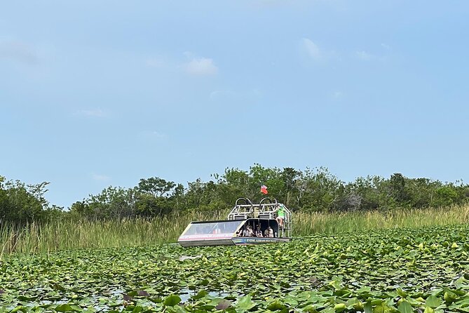 Everglades Tour From Miami With Transportation - Wildlife Viewing Opportunities