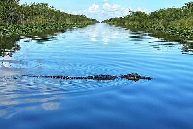 Everglades Tour From Miami With Transportation - Safety Measures and Restrictions