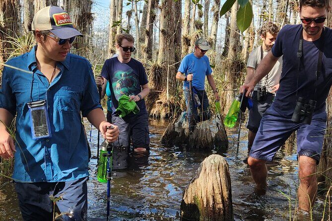 Everglades Tour w/ Biologist Led WET walk + 2 Boat Trips + Lunch! - An In-Depth Review of the Everglades Tour