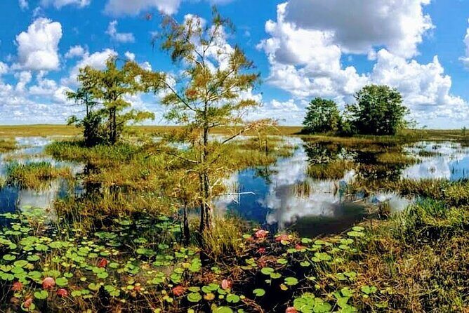 Everglades Tour w/ Biologist Led WET walk + 2 Boat Trips + Lunch! - FAQs