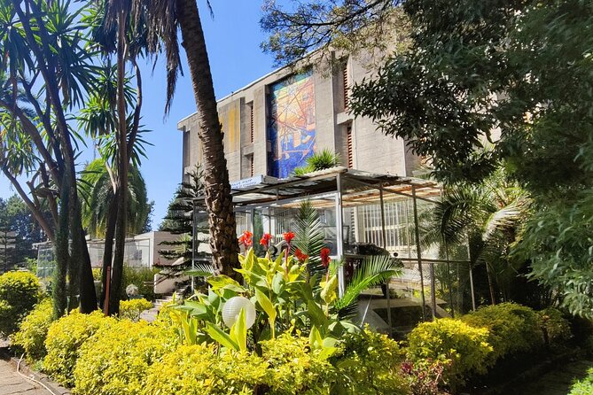 Every Day Addis Ababa City Tour - Experiencing Local Culture and Cuisine
