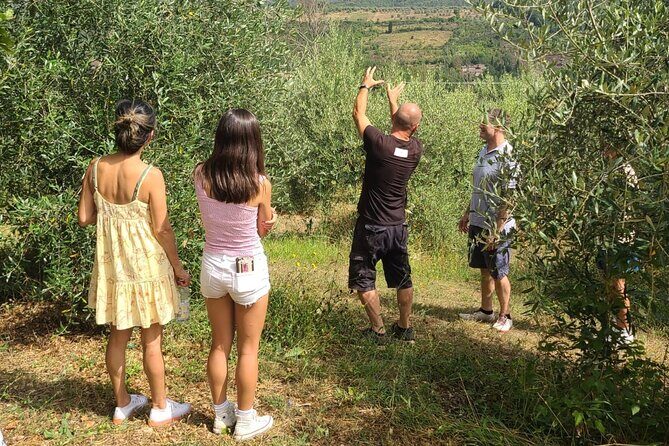 Evo Oil Tasting School with Blindfolded Tasting and Lunch - Introduction: A Flavorful Day in Chianti