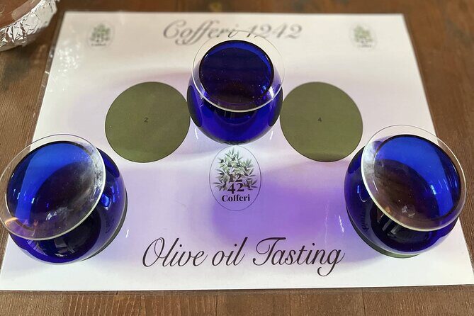 Evo Oil Tasting School with Blindfolded Tasting and Lunch - The Sum Up: Who Will Love This Experience?