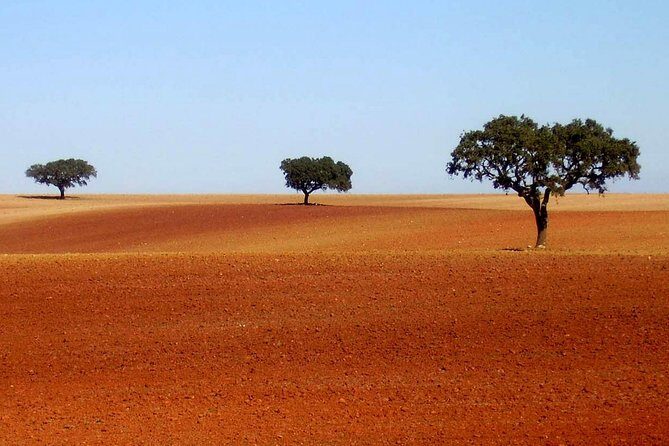 Évora & Alentejo: A Journey Through History and Flavors - Key Points