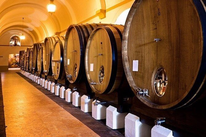 Evora City Tour, Museum City - FAQs About the Evora City Tour