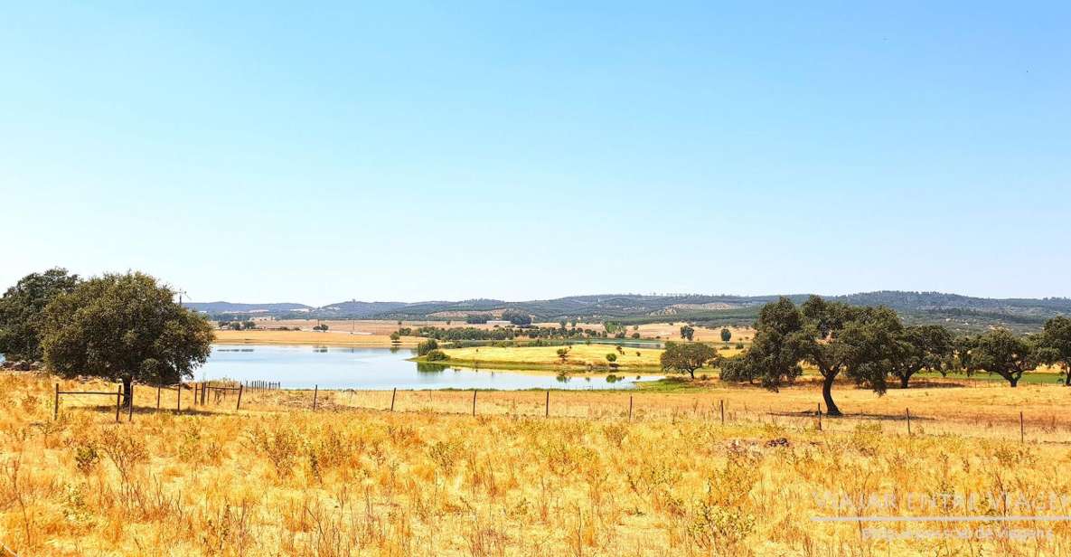 Évora: Full Day Visit - Itinerary Highlights