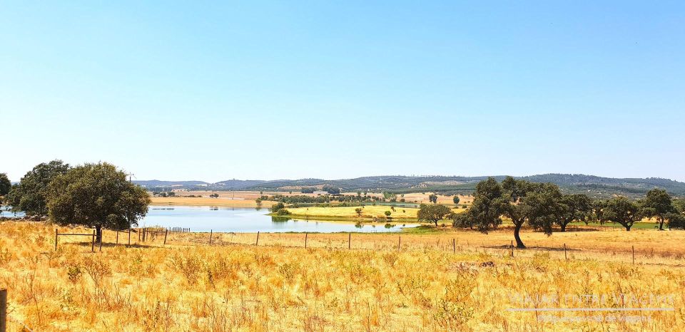 Évora: Full Day Visit - Experience Highlights