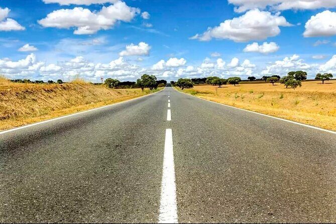 EVORA & MONSARAZ FULL-DAY PRIVATE TOUR with winery, cork & gourmet tavern - The Sum Up