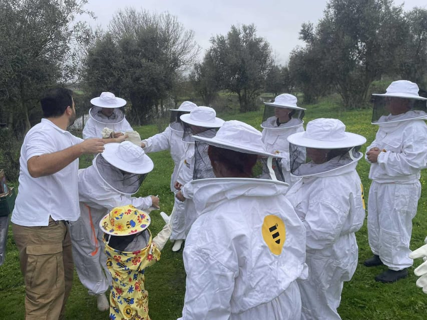 Évora or Montemor: Beekeeping, Chocolate factory, Wine tasting - Practical Details and Value