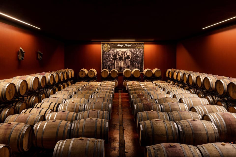 Évora or Montemor: Beekeeping, Chocolate factory, Wine tasting - Who Should Consider This Tour?