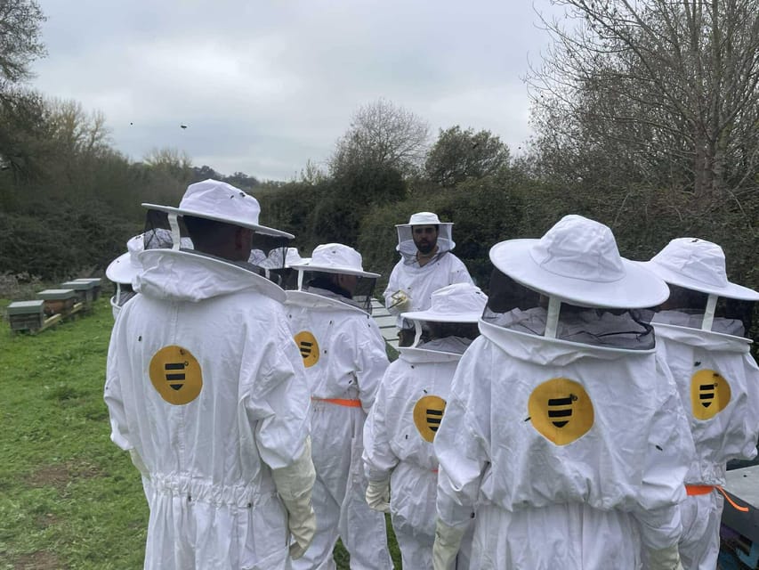 Évora or Montemor: Beekeeping, Chocolate factory, Wine tasting - FAQ