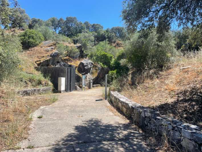 Évora or Montemor: Guided Tour of the Escoural Caves - Key Points