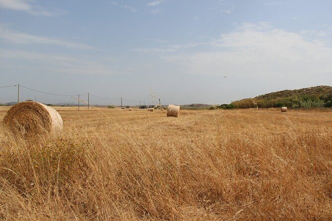 Evora Wine & Cork Experience - Exploring the Itinerary in Detail