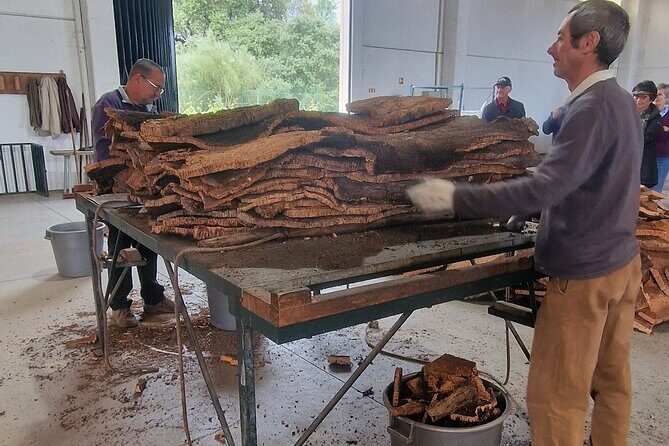 Evora Wine & Cork Experience - Authenticity and Review Insights