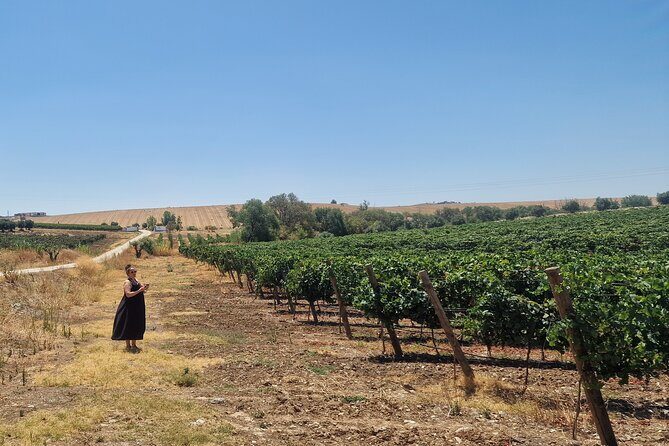 Evora Wine & Cork Experience - FAQ Section