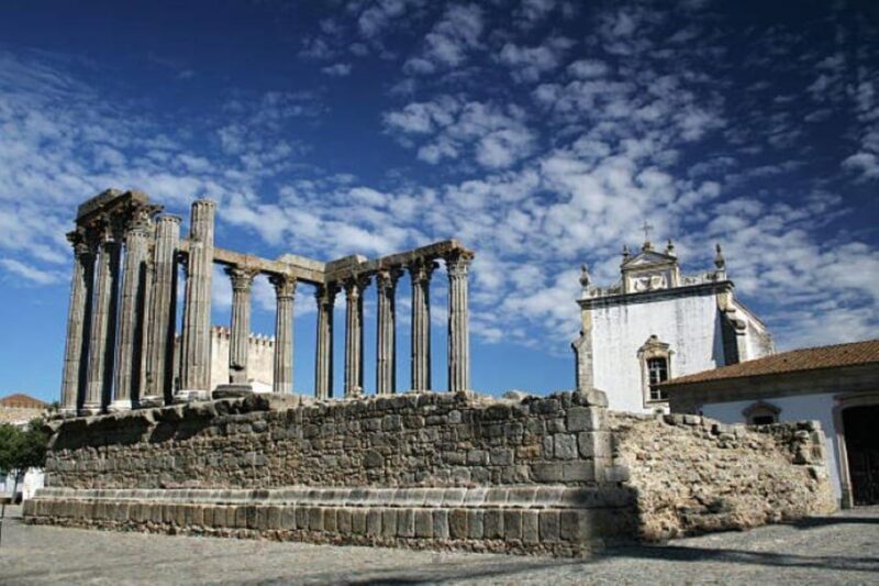 Evora: Wine Tasting and culture Tour - Who Will Love This Tour?