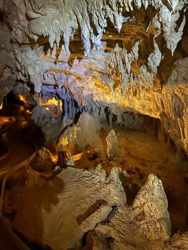 Ex Auckland Spellbound Glowworm & Cave Explorer Private Tour - Transportation & Practicalities