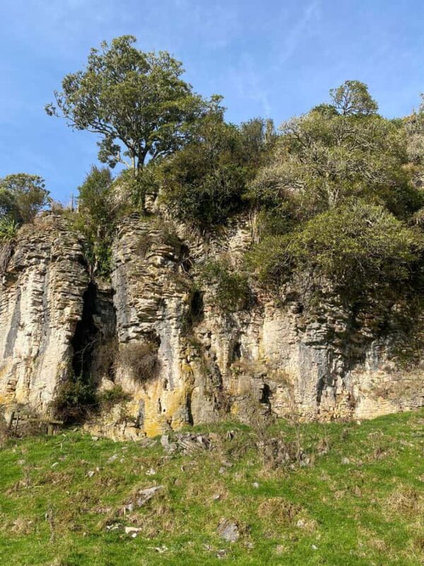 Ex Auckland Spellbound Glowworm & Cave Explorer Private Tour - Final Thoughts