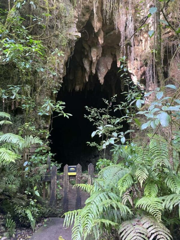 Ex Auckland Spellbound Glowworm & Cave Explorer Private Tour - FAQ
