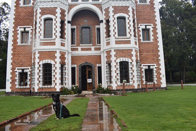 Ex hacienda, rancho de lavanda y Val'Quirico (private tour) - What Makes This Tour Stand Out?