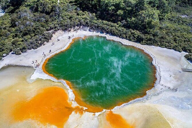 Ex Hamilton: TRIPLE DEAL Wai O Tapu, Redwood Forest & Blue Spring - Key Points