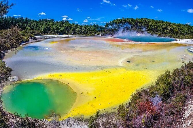 Ex Hamilton: TRIPLE DEAL Wai O Tapu, Redwood Forest & Blue Spring - The Sum Up