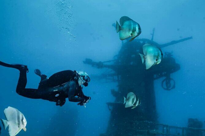 Ex- HMAS Swan Wreck Double Boat Dive - An In-Depth Look at the HMAS Swan Wreck Dive Experience