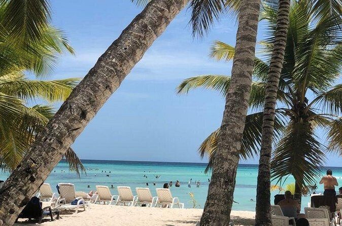 Excelence El Carmen - Round Trip Shuttle - Punta Cana Airport - Price and Value: Is It Worth It?