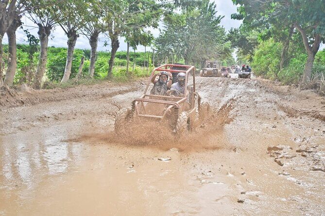 Excelence El Carmen - Round Trip Shuttle - Punta Cana Airport - Summing Up: Is This Shuttle Service for You?