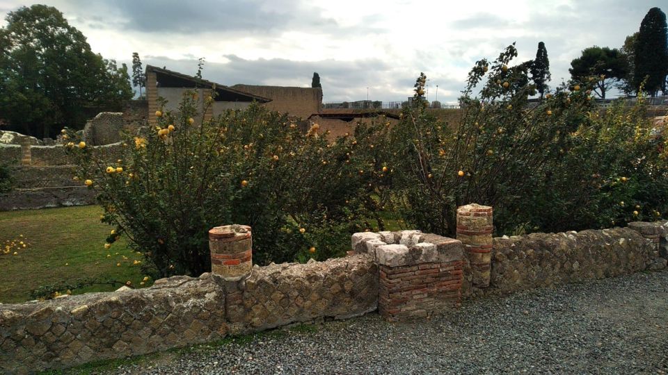 Excellent Herculaneum Guided Tour With a Licensed Guide.. - Additional Tour Information