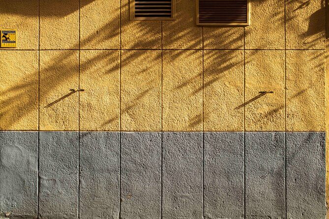 Excellent Private Photography Walking Tour & Workshop in Valencia - Who Would Enjoy This Tour?