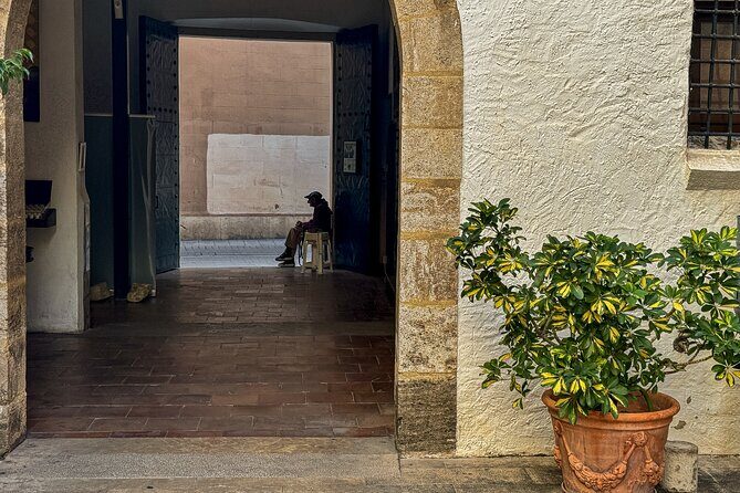 Excellent Private Photography Walking Tour & Workshop in Valencia - The Sum Up